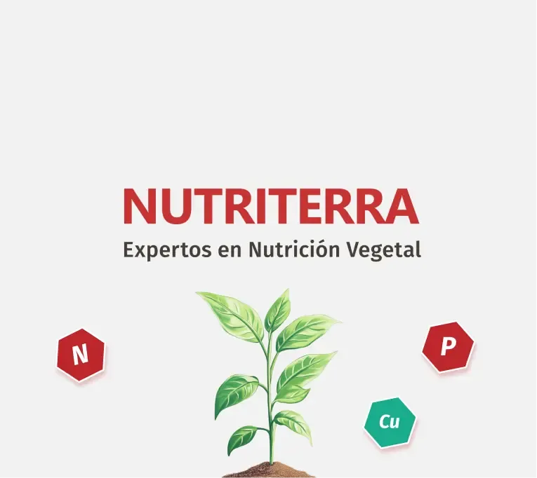 Project Nutriterra