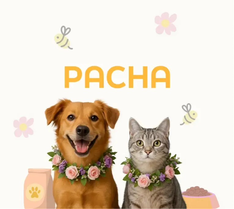 Pacha Mascotas main image